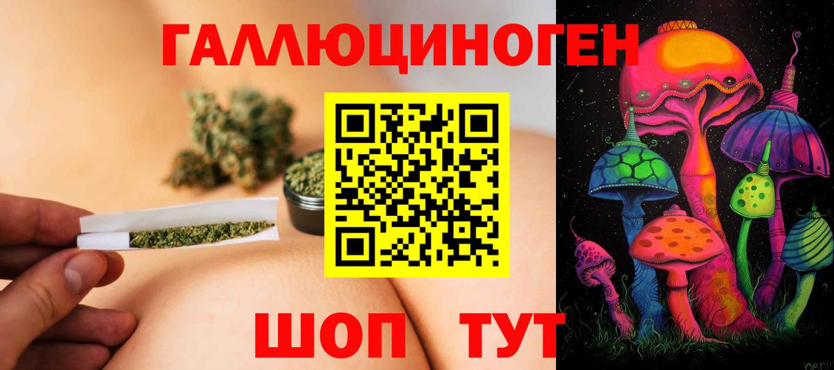 Псилоцибиновые грибы Psilocybe  Вход с VPN  Кропоткин 